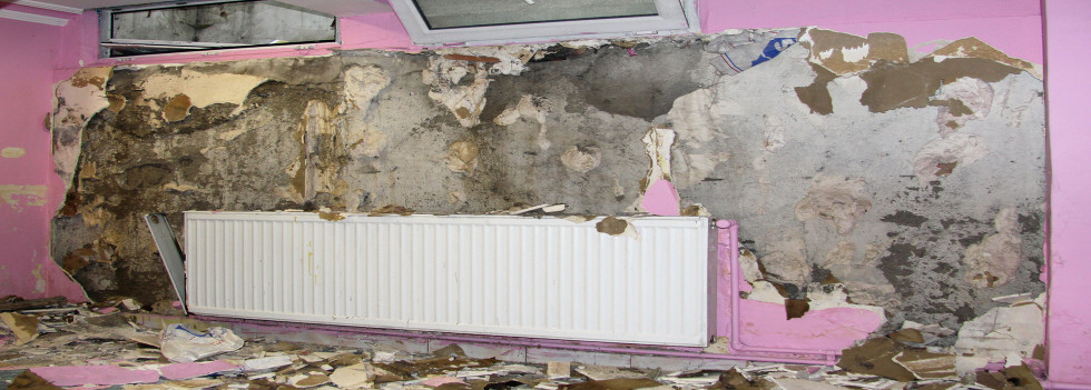 Interior Flood Damage Should Be Handled By a Professional
