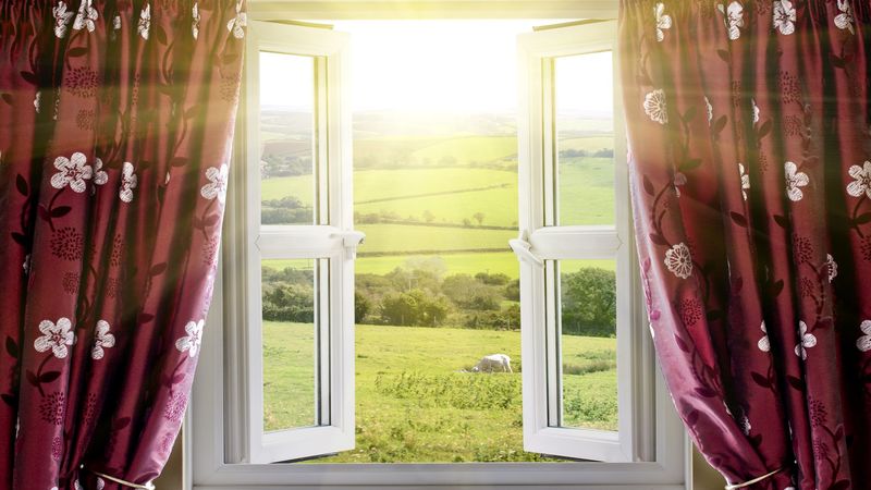 The Advantages Of A Garden Window Replacement