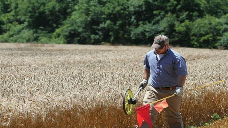 How to Benefit from Superior Pest Management Services in Covington, TN