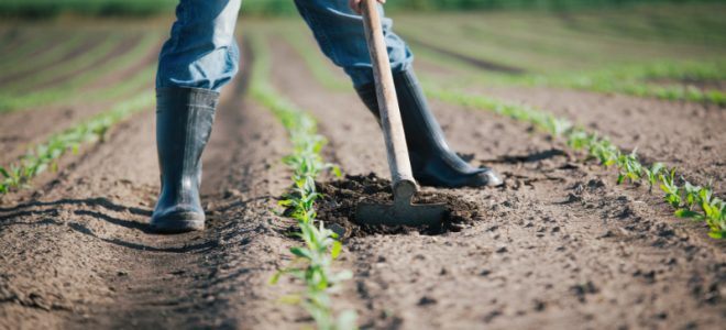 Grow Revenue and Manage Risks with a Food Safety Management System