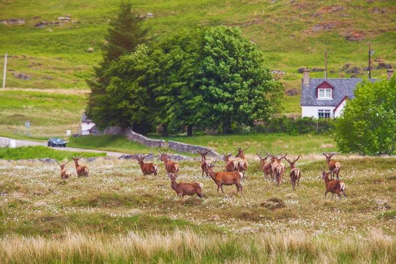 Enjoy Wide Open Spaces While in South Dakota for a Hunting Trip