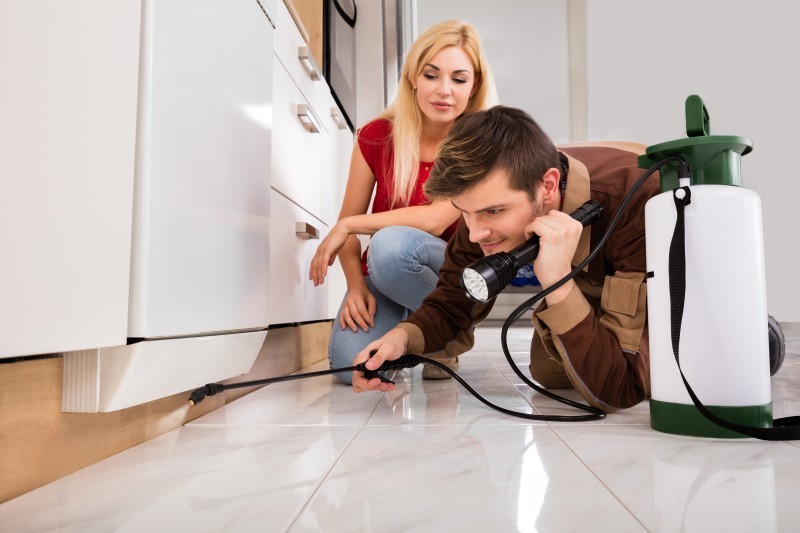 Get Rid of Unwanted Critter with Quality Atlanta Pest Control