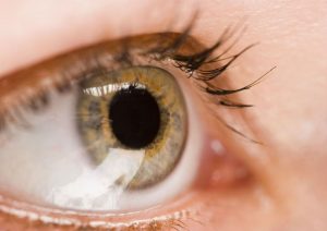 Protect Your Eyes Against Major Ocular Concerns in Palm Beach Gardens, FL