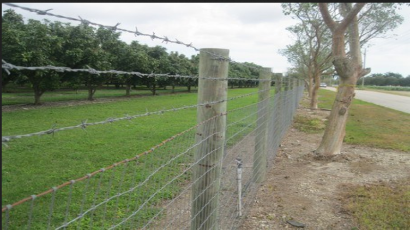 The Benefits of Considering a Quality Fencing Company in Miami, FL