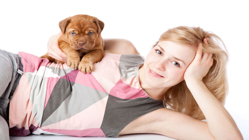 Happy Pooch, Happy Life: 3 Tips for Taking Care of Your Doggie