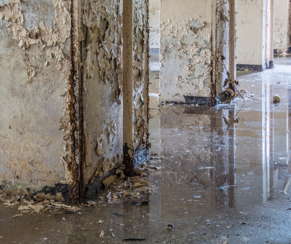 Water Damage Restoration in St. Charles, MO: Preventing Long-Term Damage