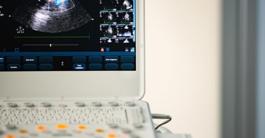 Use A Top Company To Buy A Portable Veterinary Ultrasound Machine