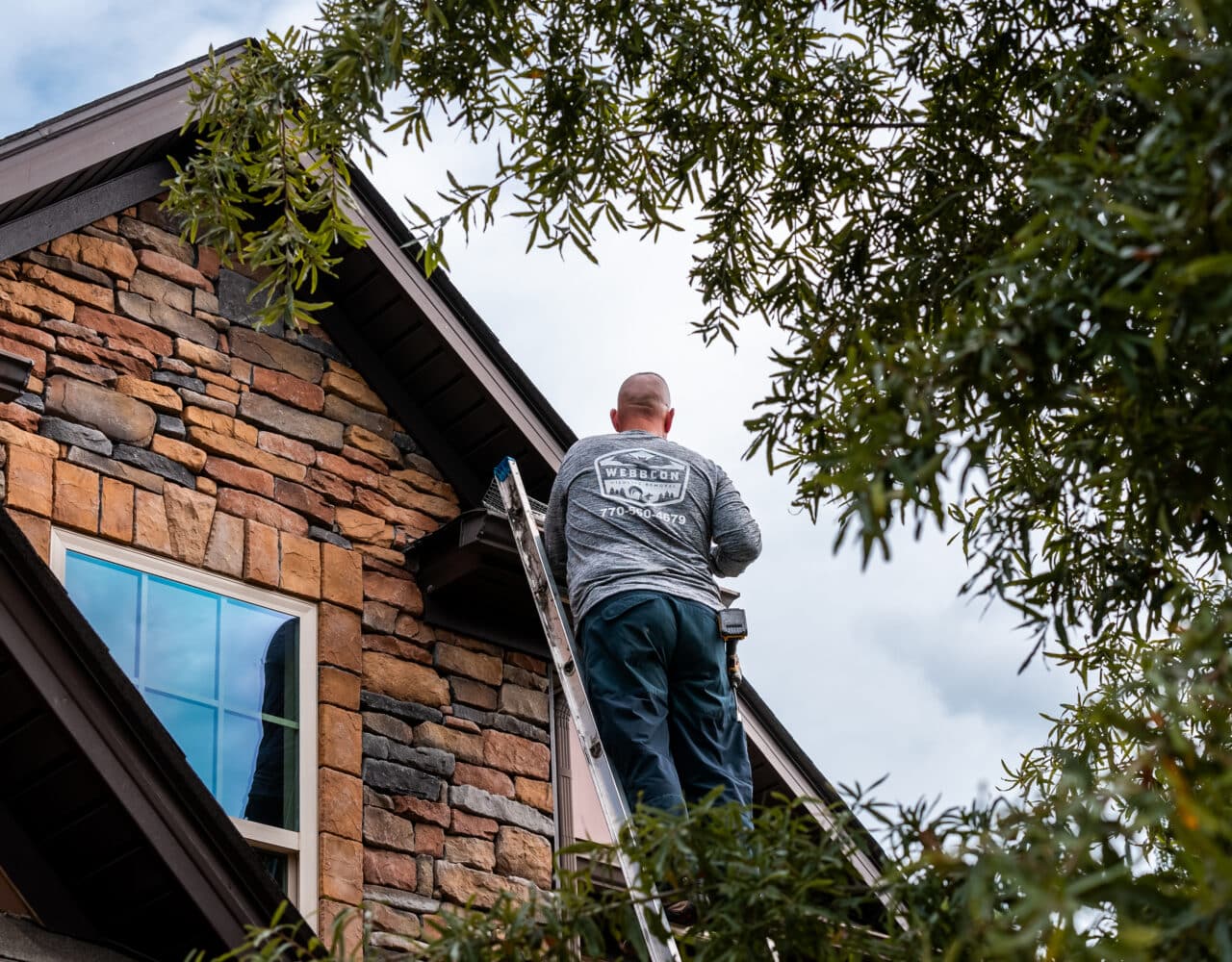 If You Have Flying Squirrels in the Attic in Newnan, GA, the Solution is Simple