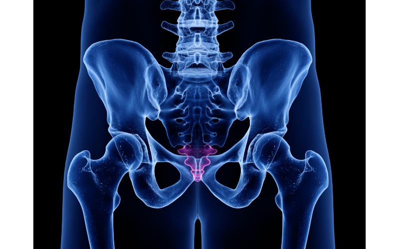 The Most Common Reasons for a Hip Replacement in Winter Park