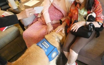 The Importance Of Environment At A Memory Care Facility In Sugar Land TX