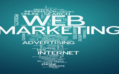 Elevate your business with professional seo services in Fort Myers, FL