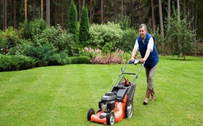 The Complete Guide to Hiring a Lawn Service Company in Charlotte, NC For High-Quality Lawn Maintenance