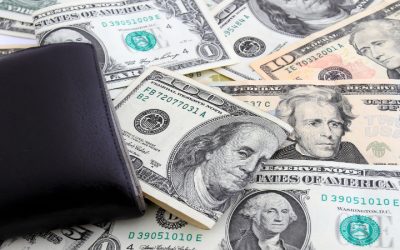 Beyond Traditional Loans: Business Credit Lines for Florida’s Dynamic Businesses