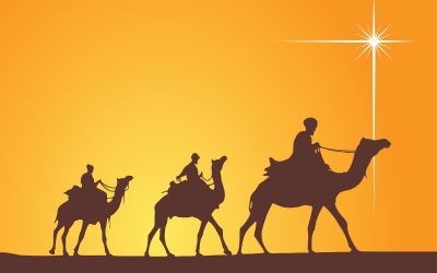 Immerse Yourself in Morocco’s Beauty With This Memorable 3 Days Tour From Fes to Marrakech