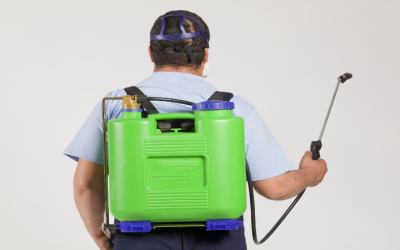 Expert Pest Control Services in Newnan, GA: Your Ultimate Guide