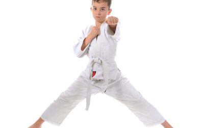 Unlock Strength and Confidence with Adult Jiu-Jitsu Classes in Fort Collins, CO