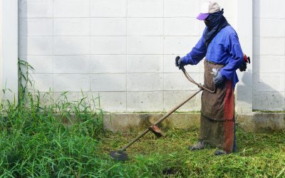 Effective Weed Control Service Cave Creek, AZ, for Safe and Beautiful Outdoor Spaces