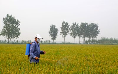 Boost Your Lawn Health with Iron Fertilizer For Grass: A Complete Guide