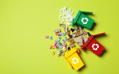 Smart Homeowners Choose a Junk Hauling Service Hayward CA for Fast Cleanouts