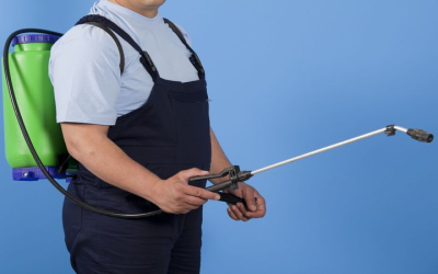 Exterminator in Newnan, GA Protects Your Home From Pests With Proven Safe Solutions