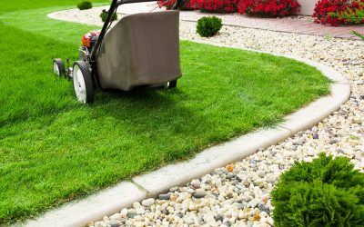 Common Problems Solved by Landscaping Maintenance Williston Professionals for Busy Residents