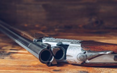 Ammunition Laws in Arizona: What Gun Owners Should Know