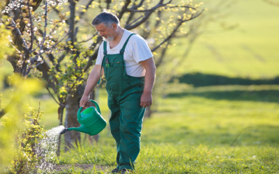 Ensure backyard safety and property value with professional Tree Service Tinton Falls NJ solutions