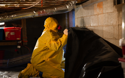 Unlock Rapid Water Damage Restoration Solutions in Peachtree City