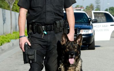 Ensure Safety at Your Business with an Unarmed Security Guard Las Vegas NV Solution