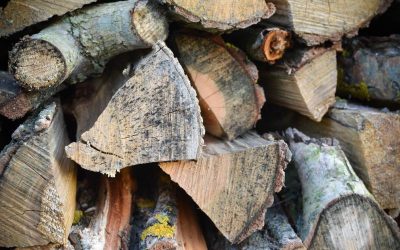 Keep Your Home Cozy with Firewood For Sale Near NJ and Enjoy Reliable Winter Warmth