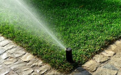 How a Lawn Sprinkler System Contractor in Brooksville, FL Can Save You Water and Money