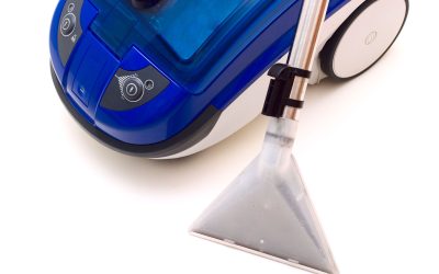 What to Expect From a Professional Carpet Cleaning Service St Joseph, MI for Lasting Results