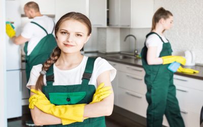 Sparkling Homes Start With House Cleaning Services In Monument, CO, And Reliable Local Care