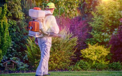 Defend Summer Fun with Lawn Spray for Chiggers, Haymarket, VA Homes