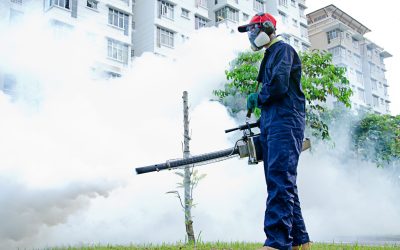Unmatched peace of mind with Bat Control Kansas City MO for your home and family