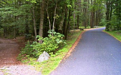 How a Sealcoating Company Maple Grove Can Extend the Lifespan of Your Driveway