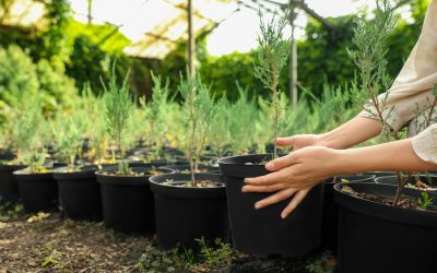 How Landscaping Rock Delivery McKinney, TX Simplifies Home Landscape Projects