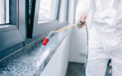 Protect Your Home with Solutions from a Pest Control Company Cedar Grove NJ Residents Trust