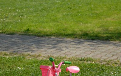 Improve Curb Appeal Using Residential Sod Product Millville, NJ for Instant Results