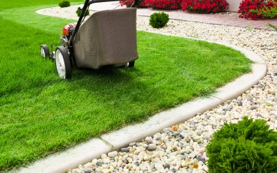Transform Your Outdoor Space through Expert Lawn Care Land O Lakes FL Solutions