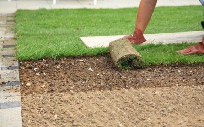 How Landscape Lighting Rochester MN Transforms Outdoor Living for Homeowners