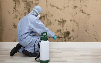 Signs You Need Immediate Mold Remediation Menifee CA for Your Family