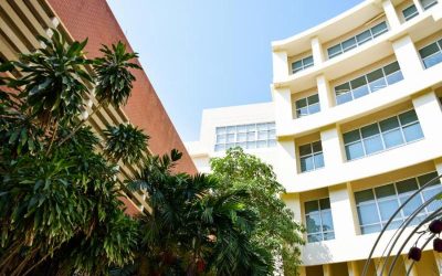 Finding Pet-Friendly Rental Apartments Kansas City, MO Residents Love for Easy Living
