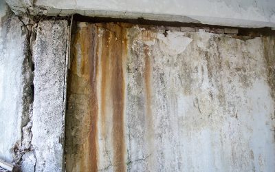 How a Water Damage Restoration Company in Quincy, IL Can Save Your Home from Costly Repairs