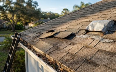 A Homeowner’s Guide to Effective Roof Damage Repair and Recovery